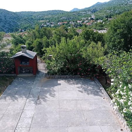 Villa Alexa 策萨利卡 外观 照片